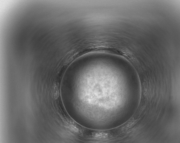 X0000060230471200510311552