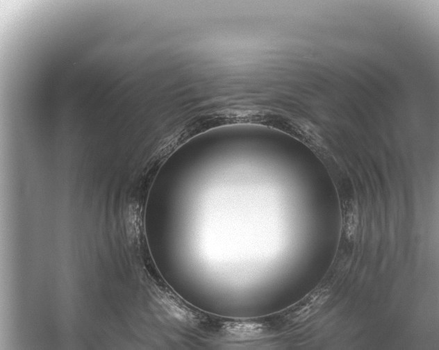 X0000060230476200510311552