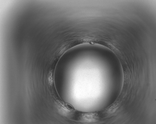 X0000060230479200510311552