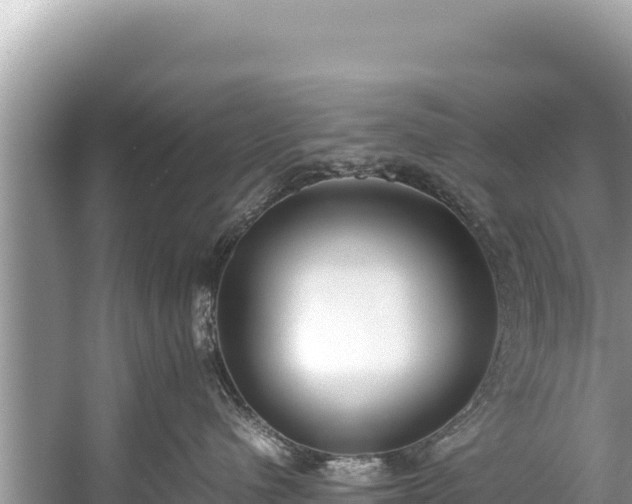 X0000060230480200510311552