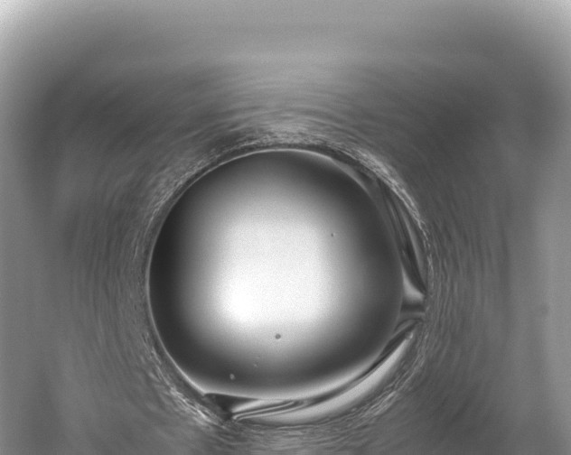 X0000060230481200510311551