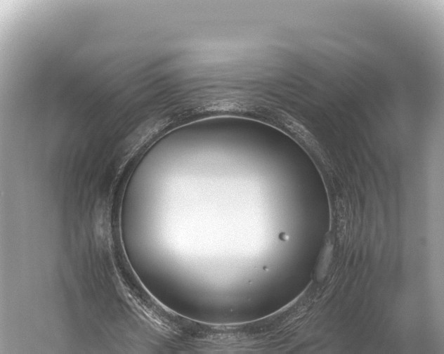 X0000060230482200510311551