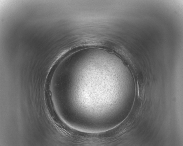 X0000060230483200510311551