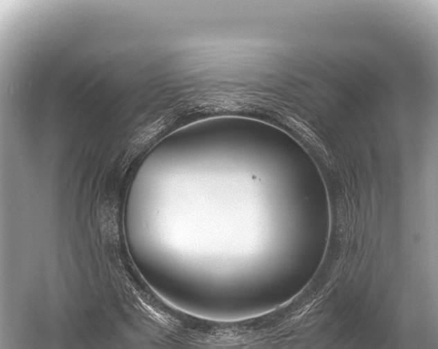 X0000060230489200510311551