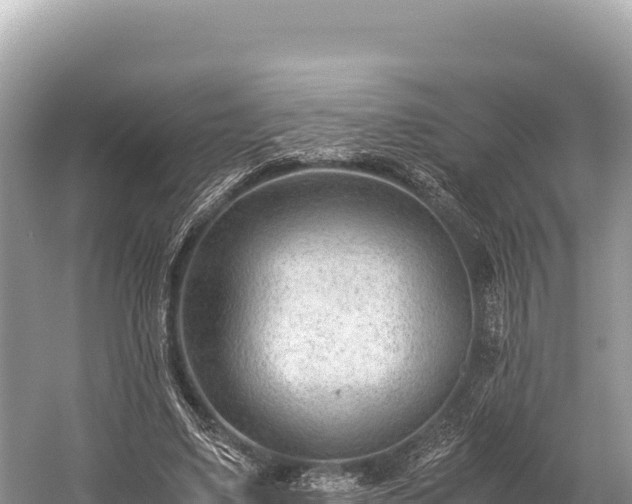 X0000060230491200510311551