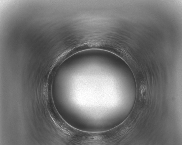 X0000060230492200510311551