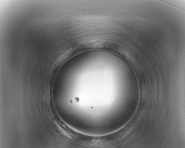 X0000060230493200510311551