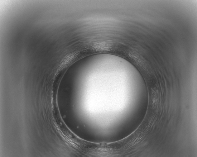 X0000060230494200510311551