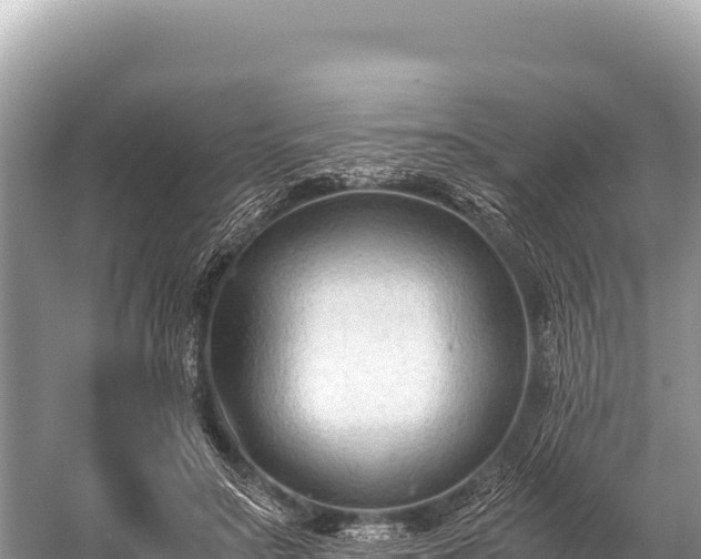 X0000060230499200510311551