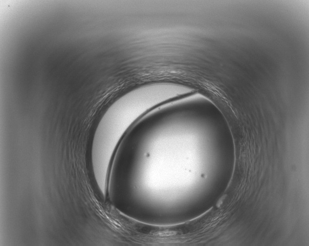 X0000060230501200510311551