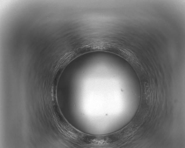 X0000060230502200510311551