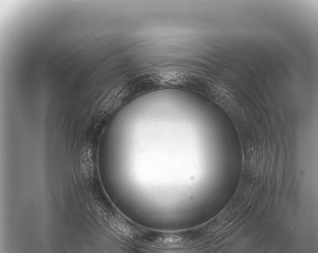 X0000060230506200510311551