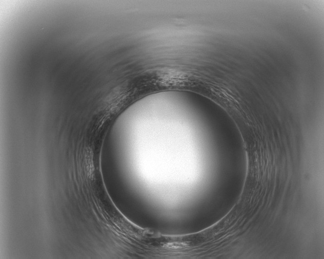 X0000060230508200510311551