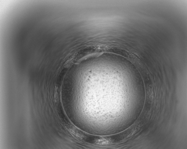 X0000060230511200510311551