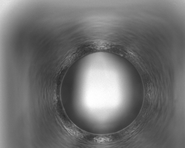 X0000060230512200510311551