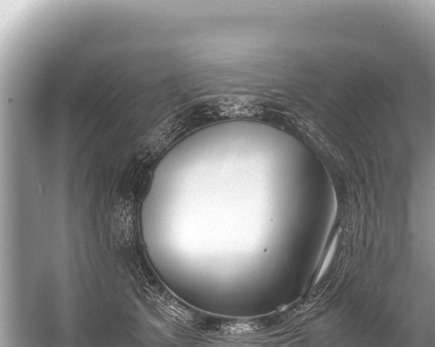 X0000060230513200510311551