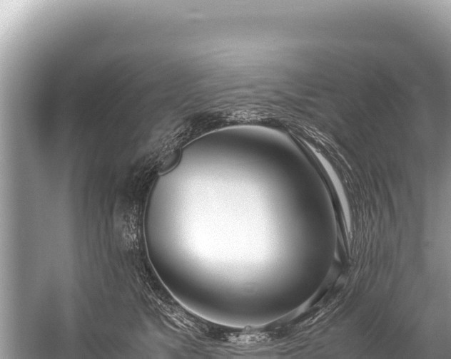 X0000060230517200510311551