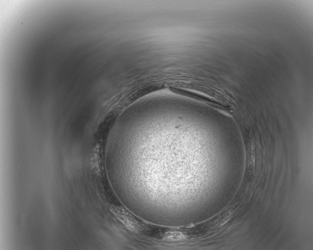 X0000060230519200510311551