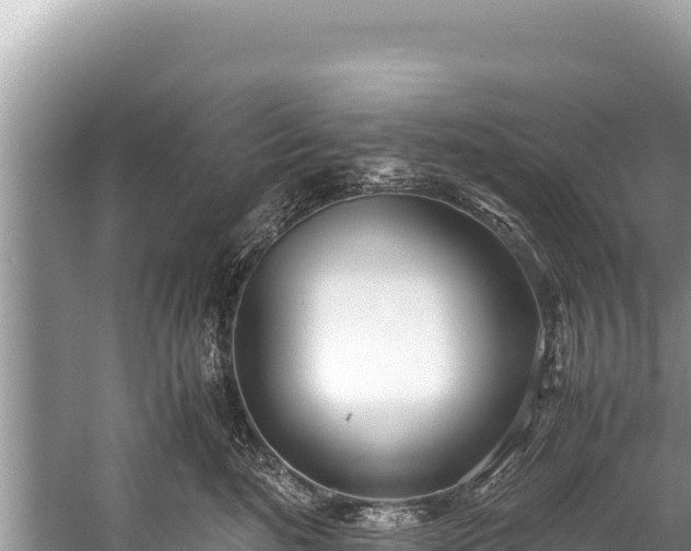 X0000060230520200510311551