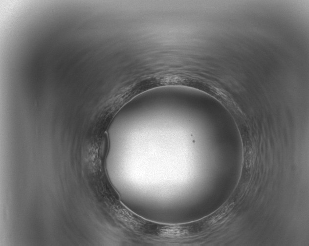 X0000060230521200510311551