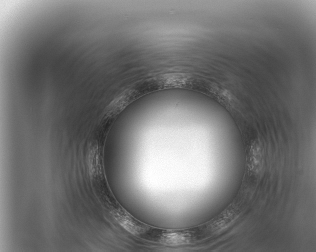 X0000060230522200510311551