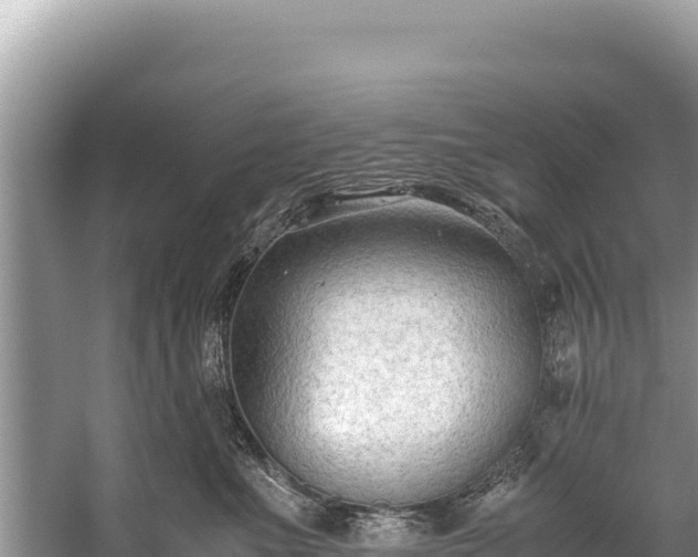 X0000060230523200510311551