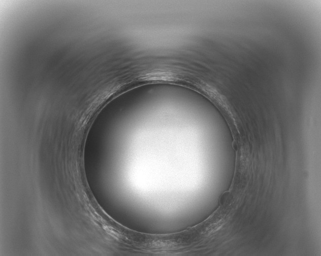 X0000060230529200510311550