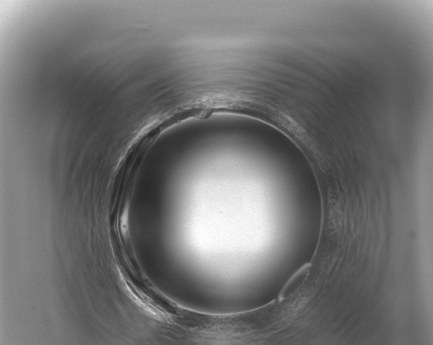 X0000060230530200510311550