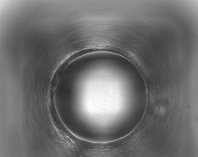 X0000060230532200510311550