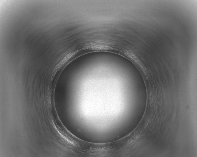 X0000060230533200510311550