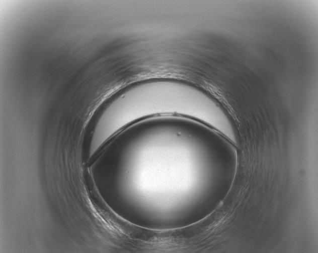 X0000060230534200510311550