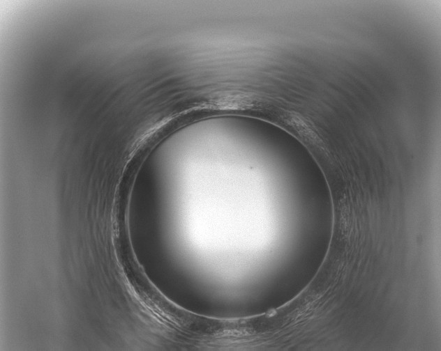 X0000060230536200510311550