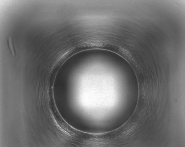 X0000060230538200510311550