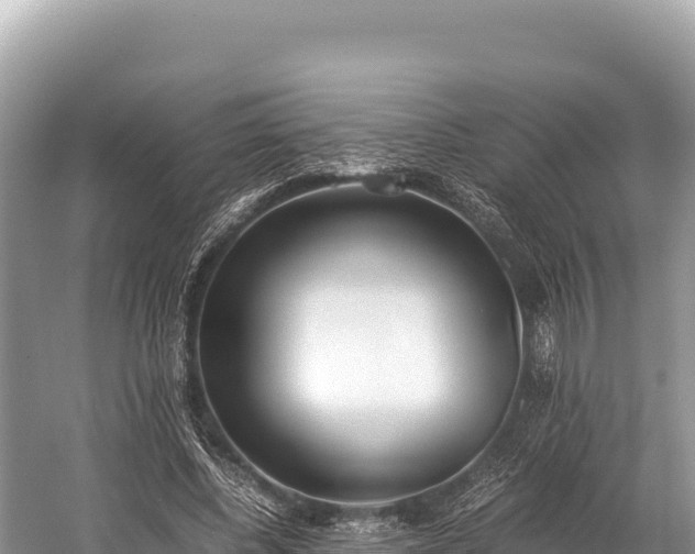 X0000060230540200510311550