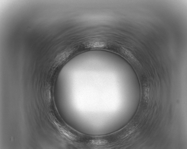 X0000060230541200510311550