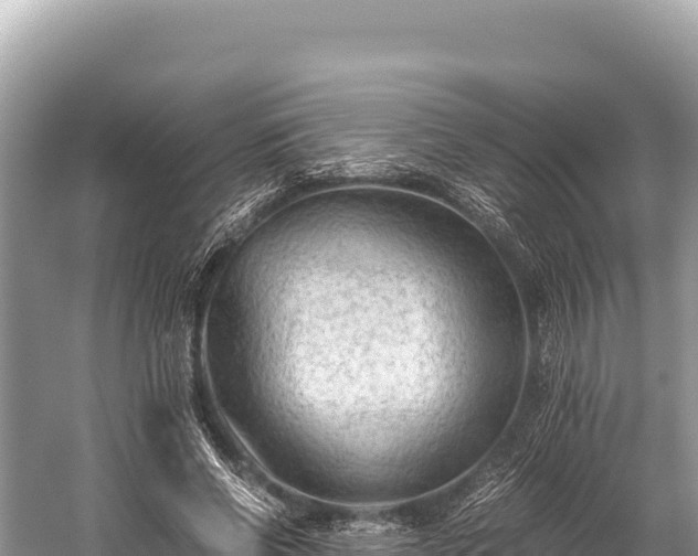 X0000060230542200510311550