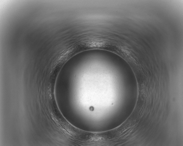 X0000060230547200510311550