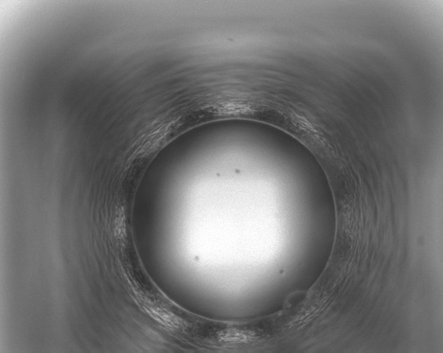 X0000060230549200510311550