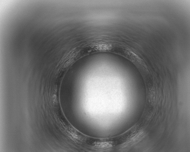 X0000060230553200510311550