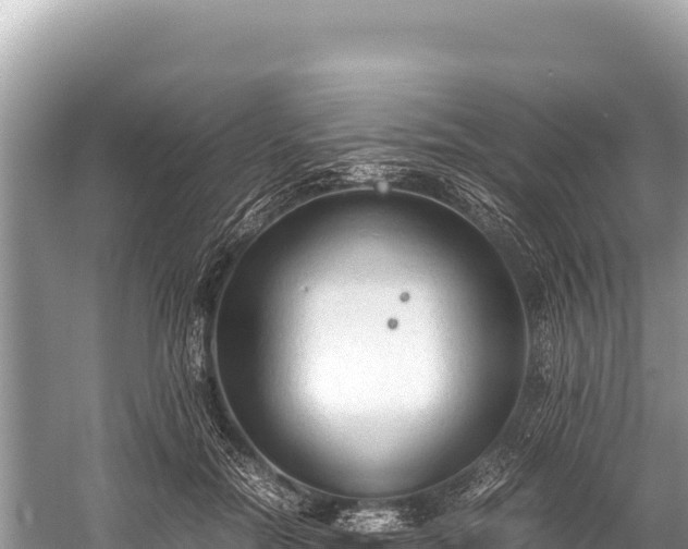 X0000060230554200510311550