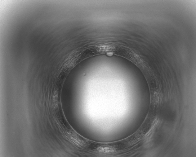 X0000060230557200510311550