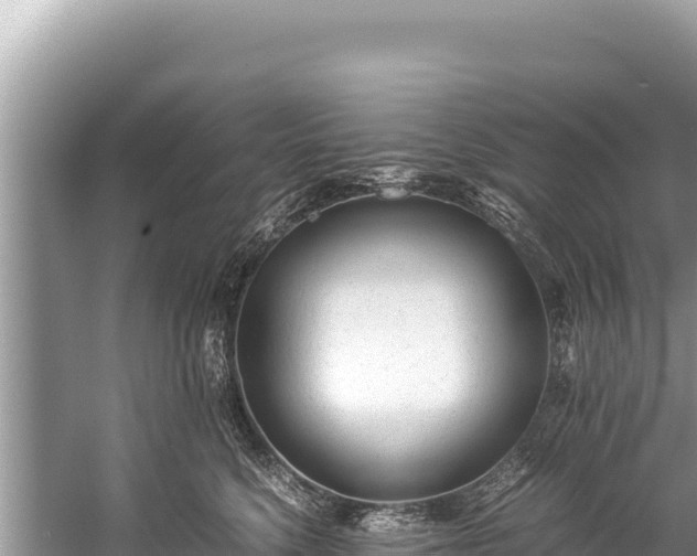 X0000060230568200510311550