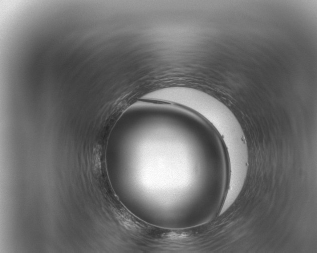 X0000060230570200510311550