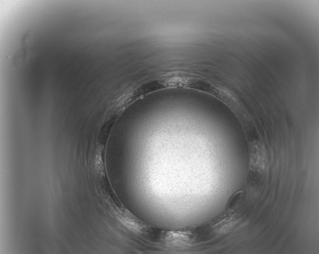 X0000060230573200510311550