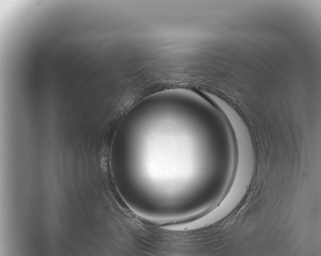 X0000060230576200510311550