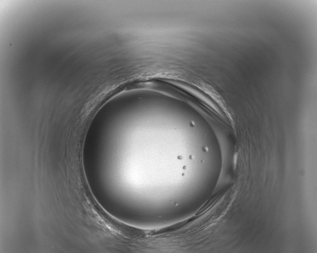 X0000060230577200510311550