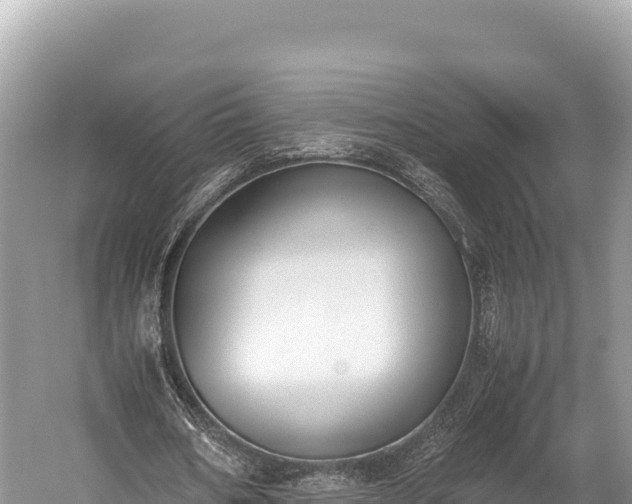 X0000060230578200510311550