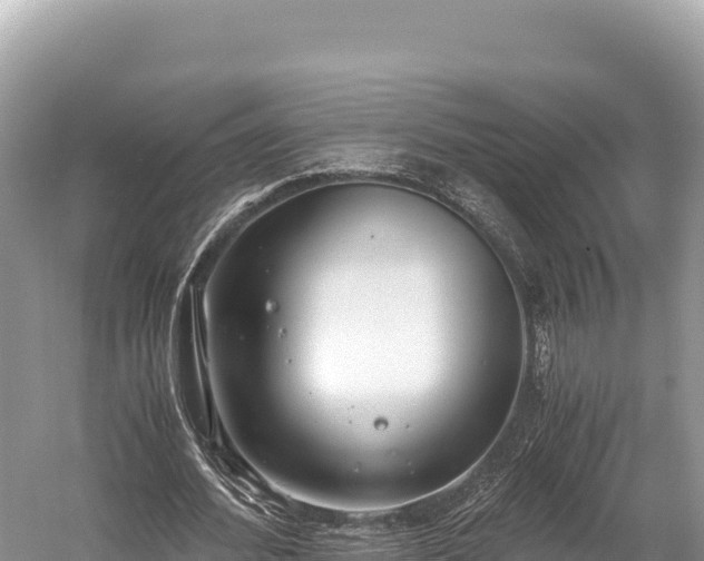 X0000060230580200510311550