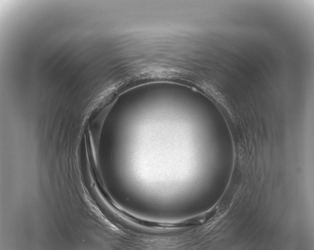 X0000060230581200510311550