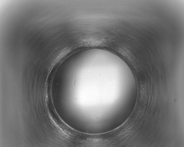 X0000060230582200510311550